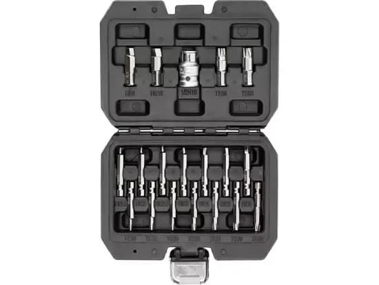 JUEGO DE EXTRACTORES PARA ACCESORIOS TORX Y HEXAGONALES, 19 PIEZAS