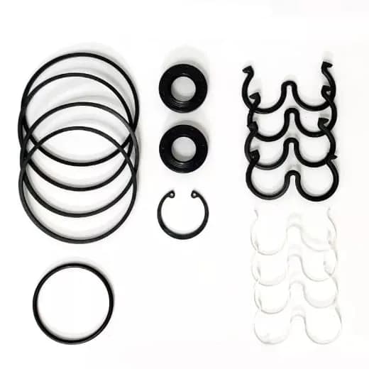 REPARO BOMBA BOSCH DUPLA MODERNO (C/ ANILLO QUADR.FINO) , LINEA MASSEY FERGUSON, CODIGO: 3176849-M