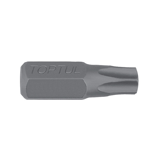 Punta bits TT 10mm T40x30(L)mm