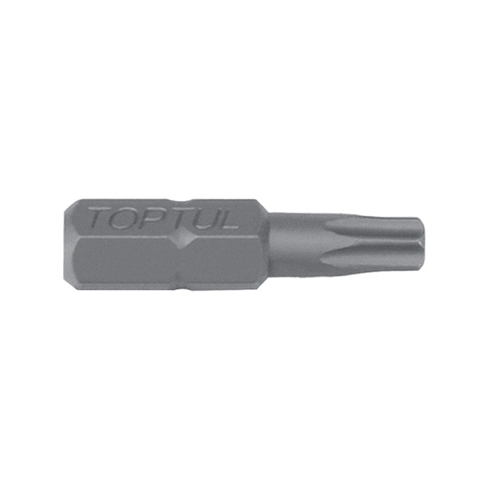 Punta bits TT 1/4' T20x25(L)mm