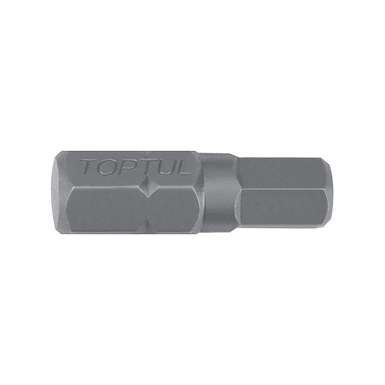 Punta bits TT 10mm 8mmx30(L)mm