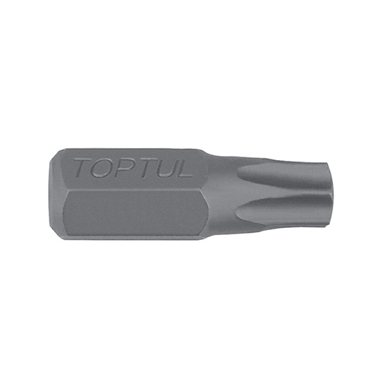 Punta bits TT 10mm T20x30(L)mm