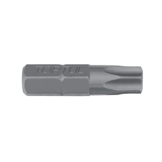 Punta bits TT 5/16' T55x30(L)mm