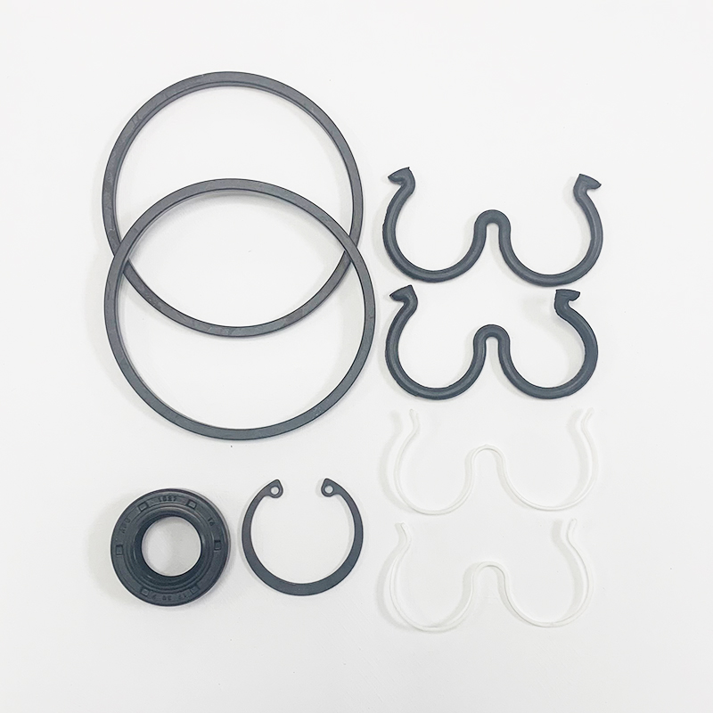 REPARO BOMBA BOSCH MODERNO - (C/ ANILLO QUADR.FINO) , LINEA MASSEY FERGUSON, CODIGO: DAN-9510228