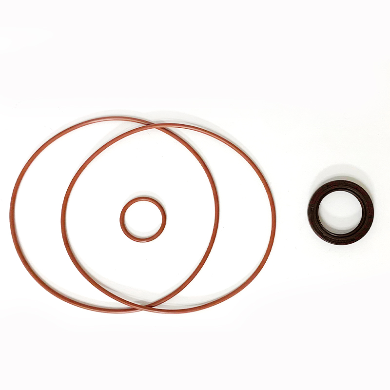 REPARO BOMBA REXROTH - (SIN JUNTA METALICA), LINEA REXROTH, CODIGO: 42183756