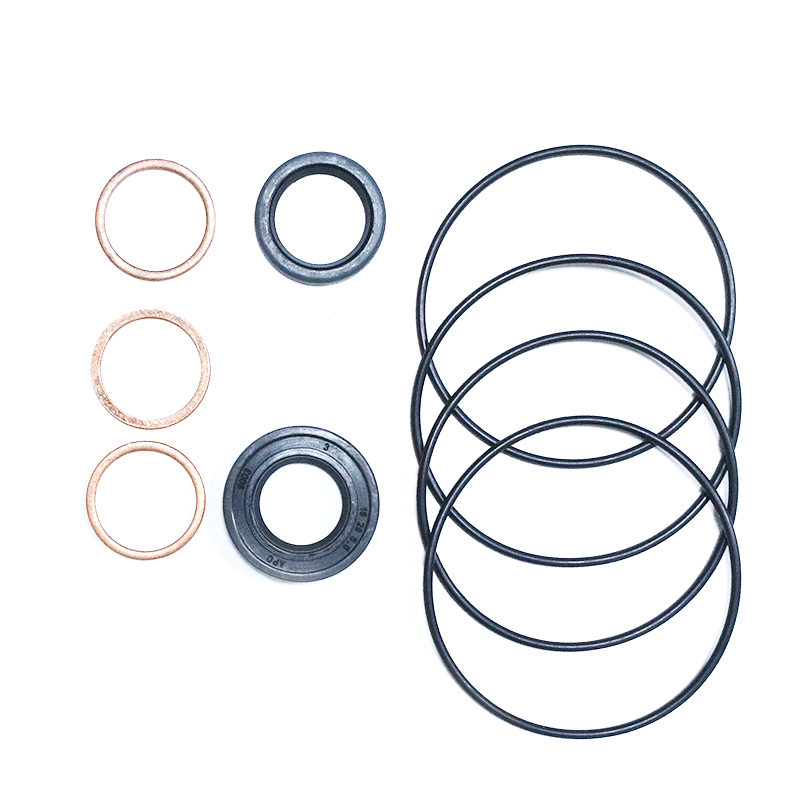 REPARO MOTOR HIDR. DANFOSS PQ OMM , LINEA DANFOSS, CODIGO: 151.G 202